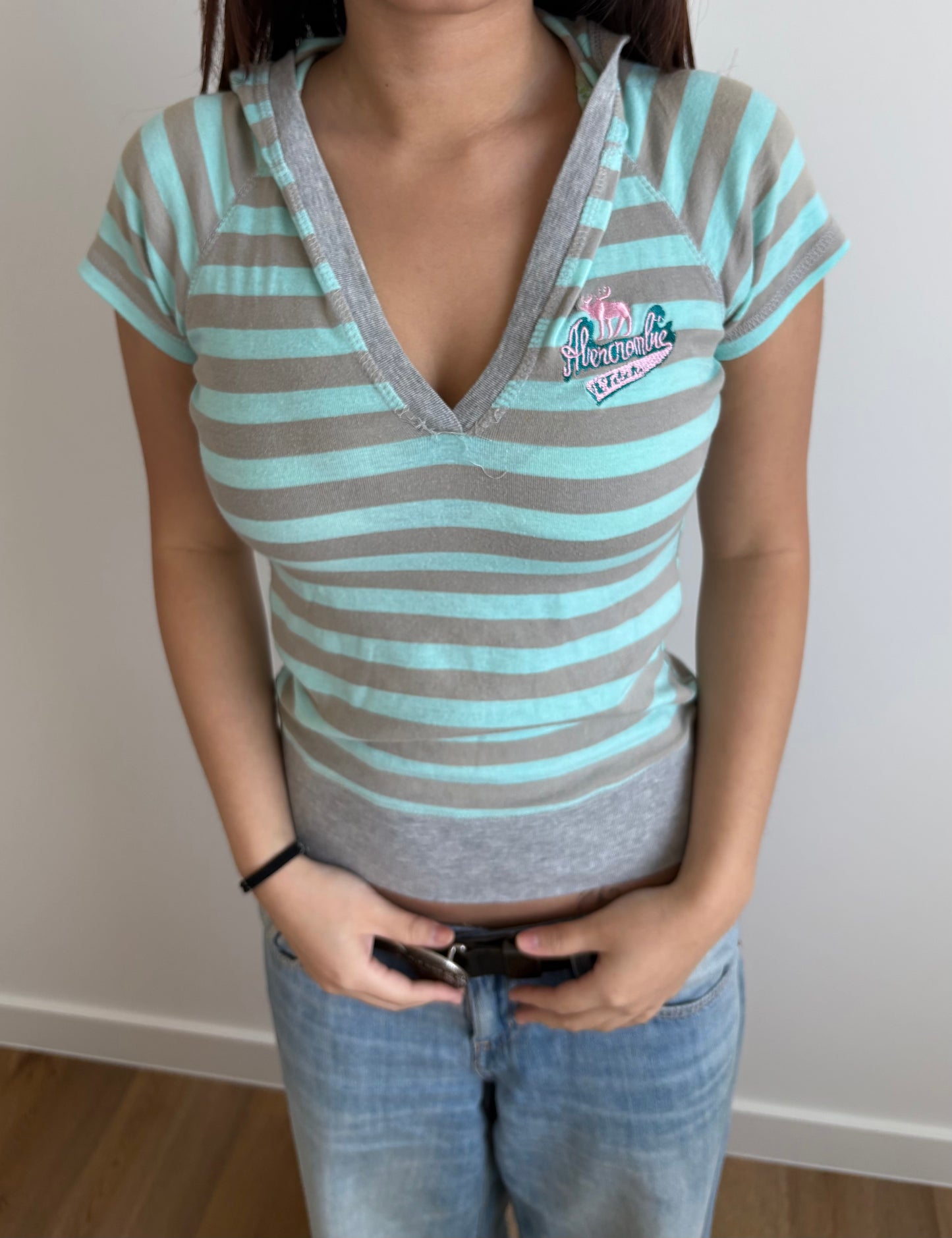 teal & grey striped hooded abercrombie henley